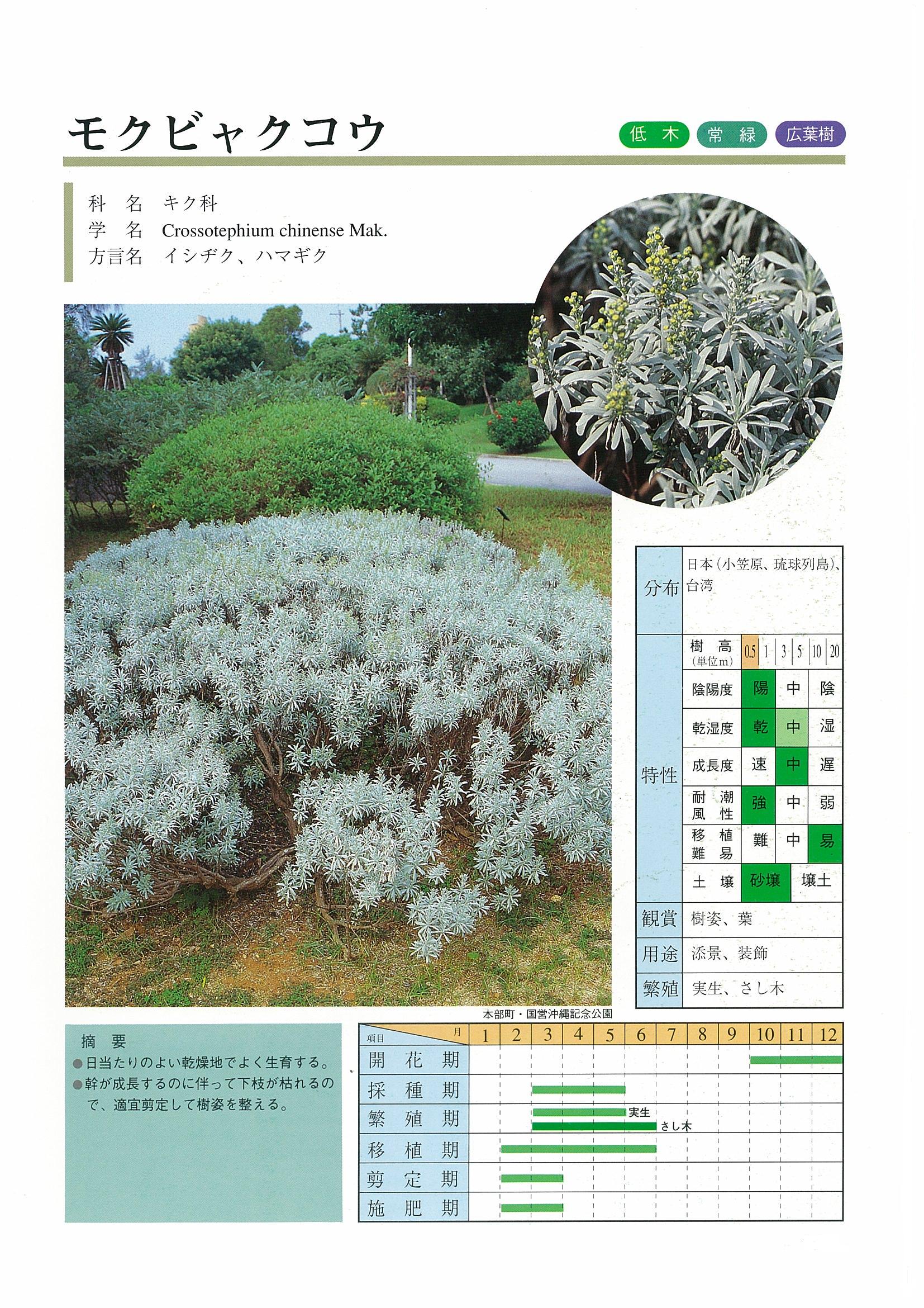 樹木図鑑 | 沖縄県緑化種苗協同組合